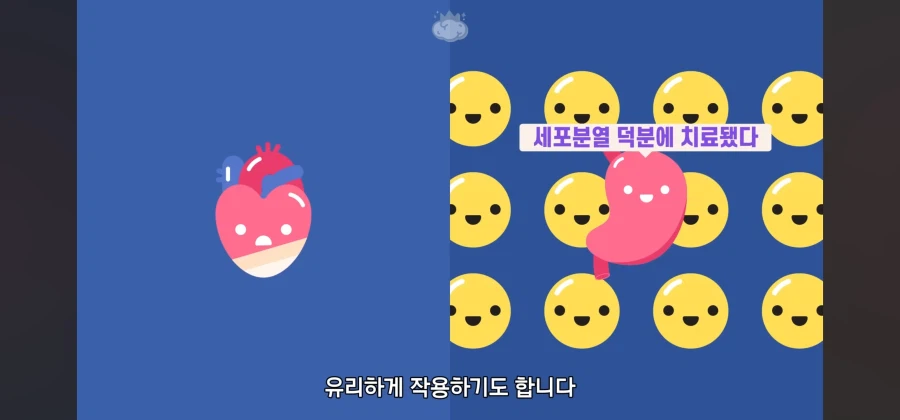 살면서 심장암이란 말을 들어볼 일이 없는이유_13.webp