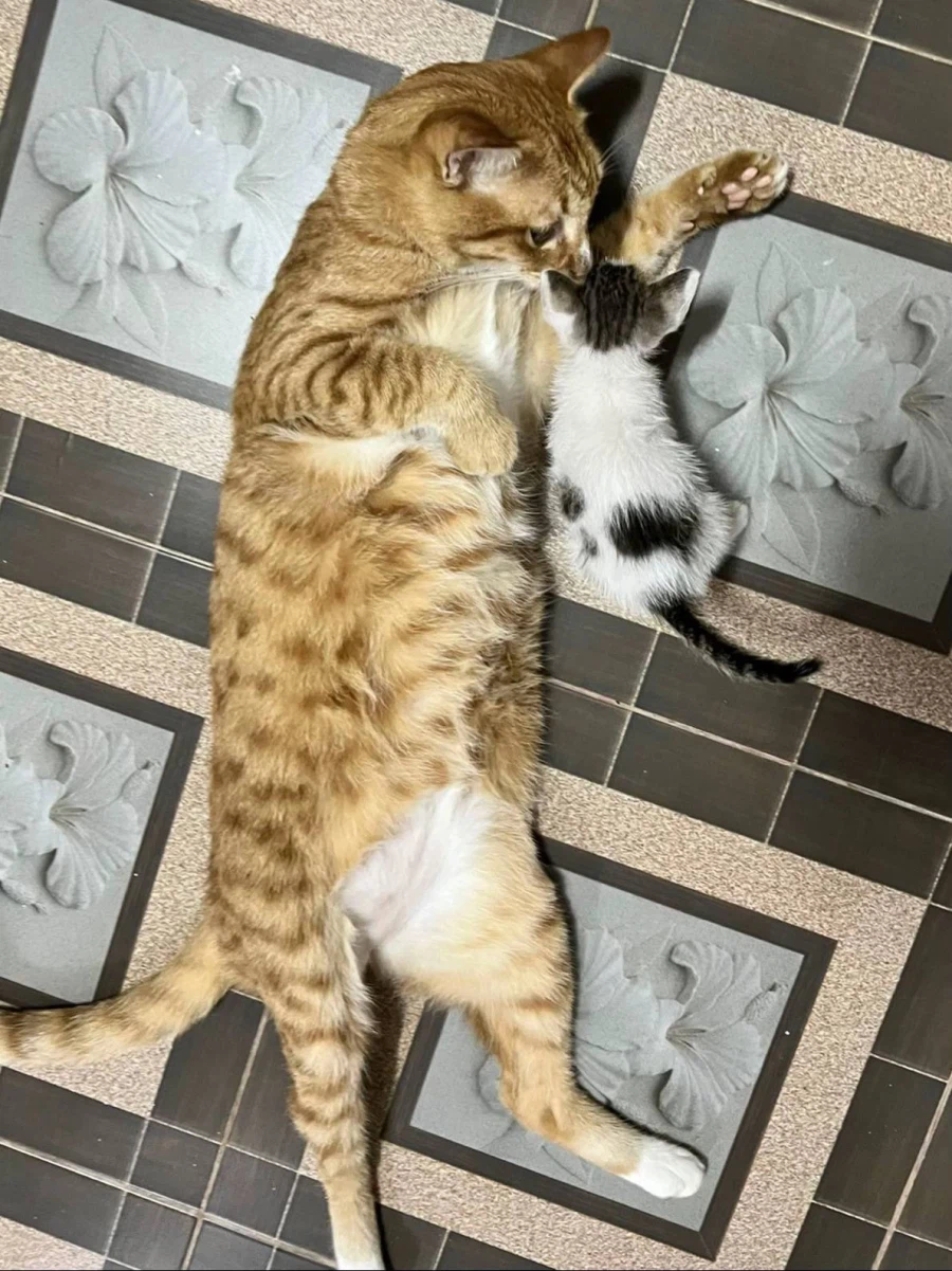 같이 살던 동생의 급성장_1.webp