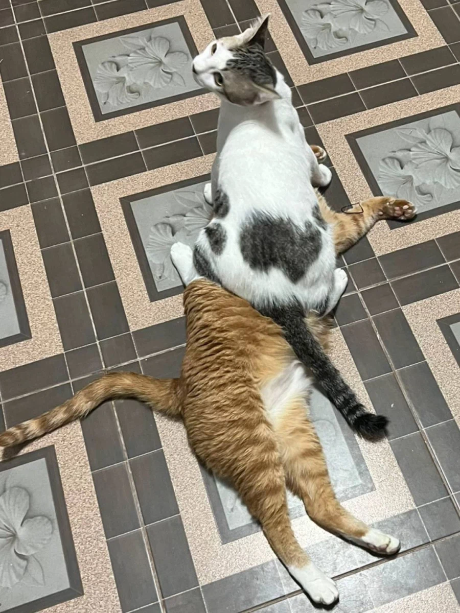 같이 살던 동생의 급성장_2.webp