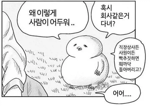 한국 사람들이 주로 혐한에 빠지는 가장 큰 이유_1.webp