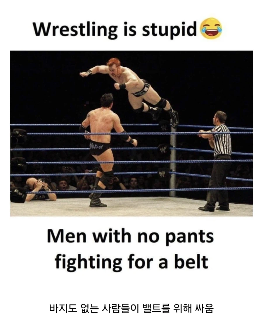 프로레슬링이 웃긴 이유_1.webp