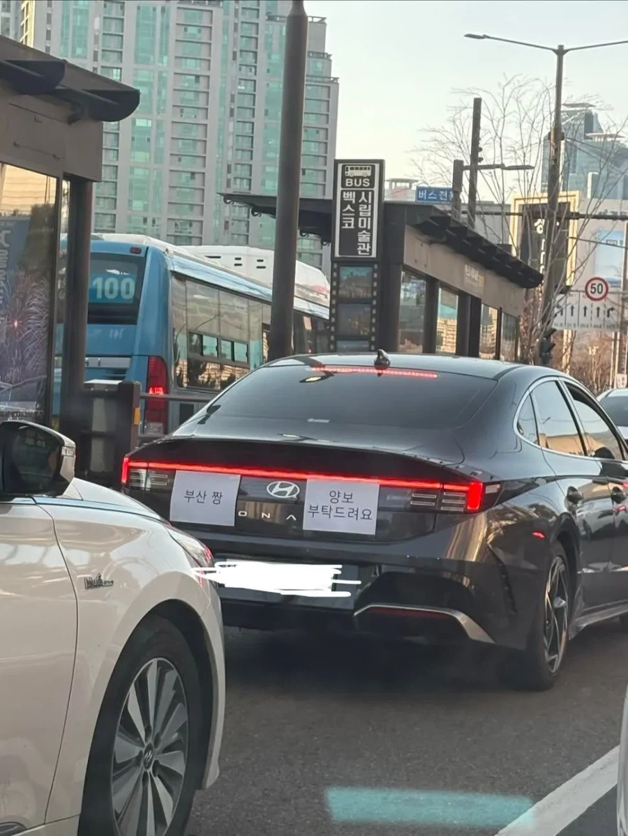 부산놀러온 초보운전자_1.webp