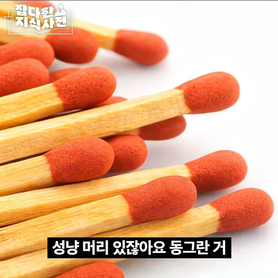 성냥팔이 소녀의 진실.jpg_8.webp