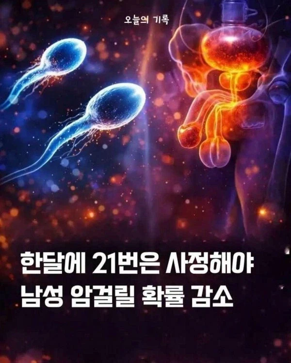 한달에 21번 사정해야 하는 이유_1.webp