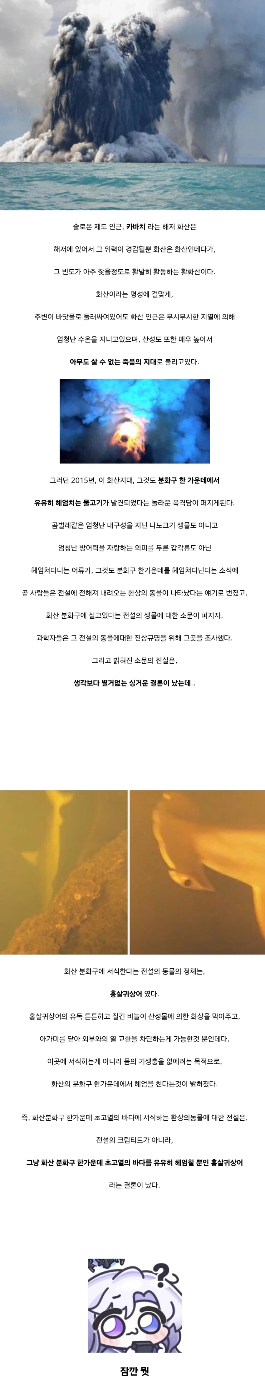 화산 분화구에서 발견된 전설의 동물의 진실.jpg_1.webp