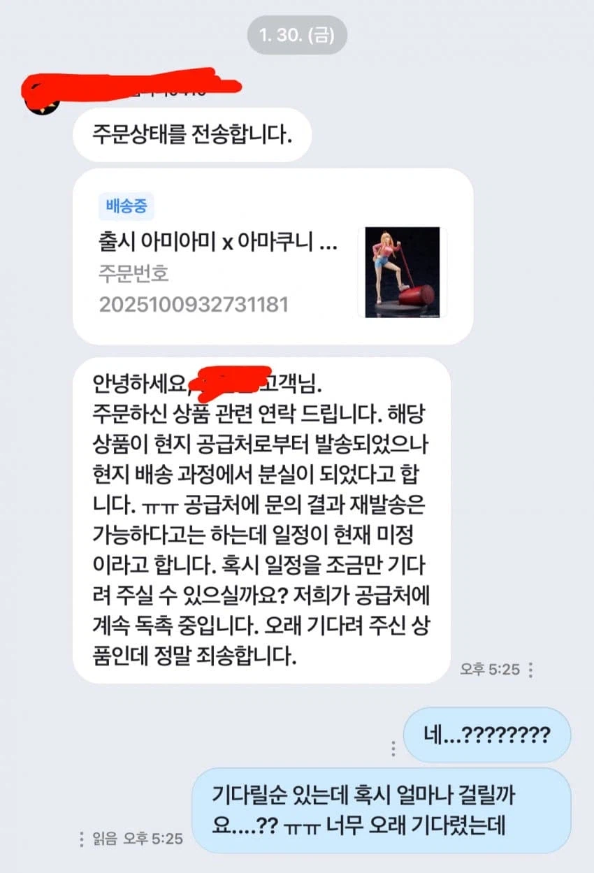 피규어 주문했는데 사장이 수상하다.jpg_3.webp