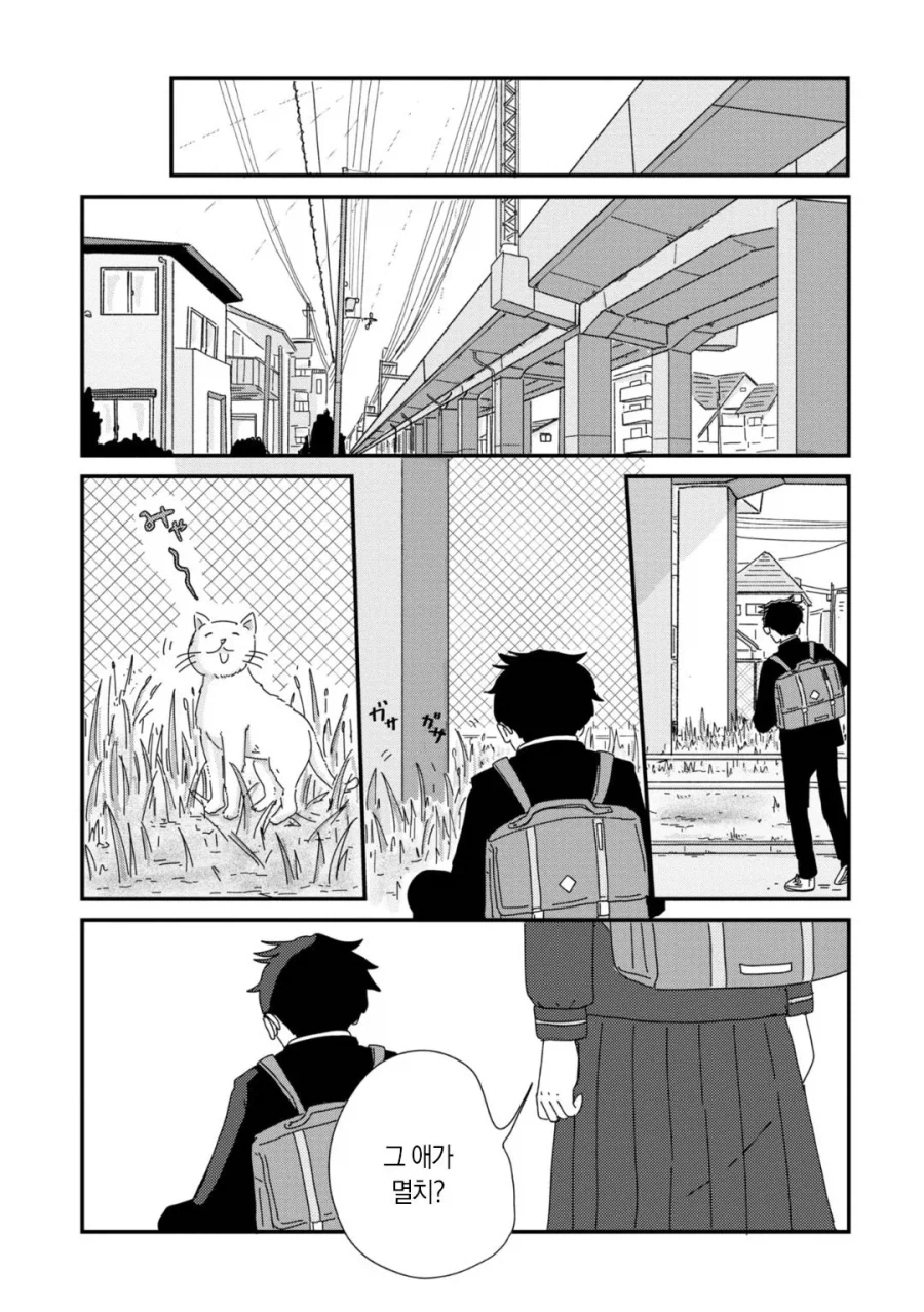 남녀공학 일상 Manhwa_21.webp