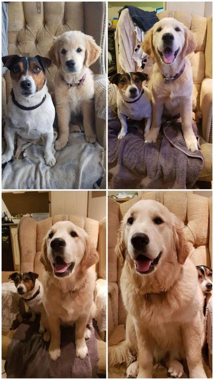 같이 사는 동생의 급성장_1.webp