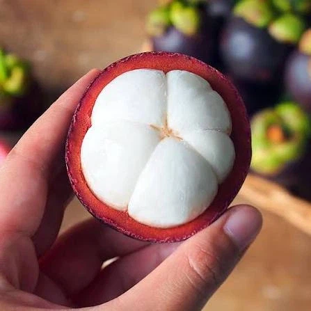 의외로 재배가 어려운 과일_1.webp