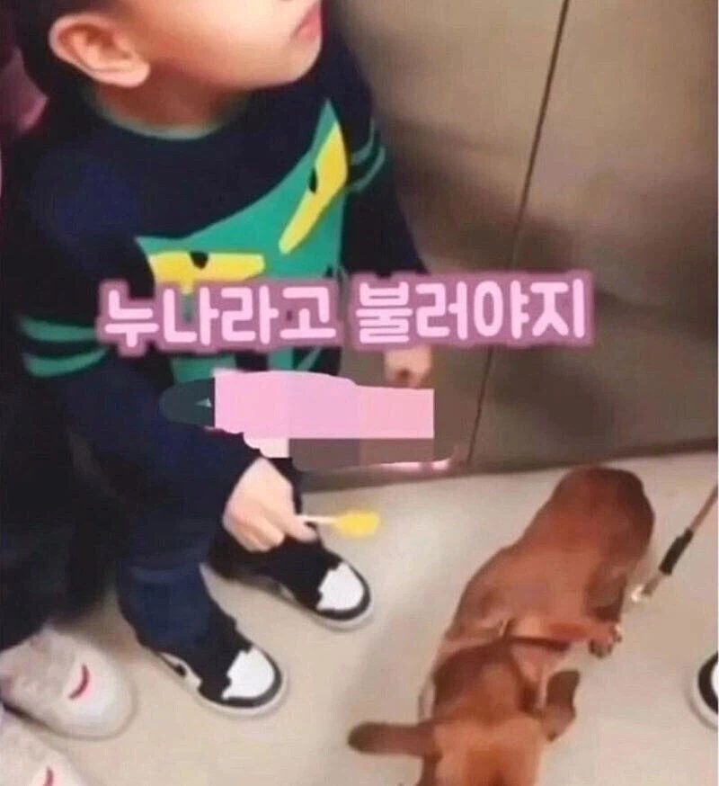 누나라고 불러야지_2.webp