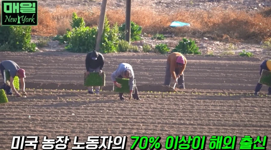 드디어 효과가 나오기 시작한 트럼프 반이민정책_3.webp