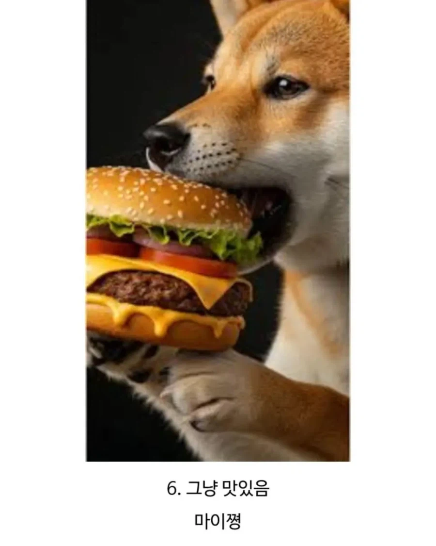 햄버거를 먹는 이유_6.webp