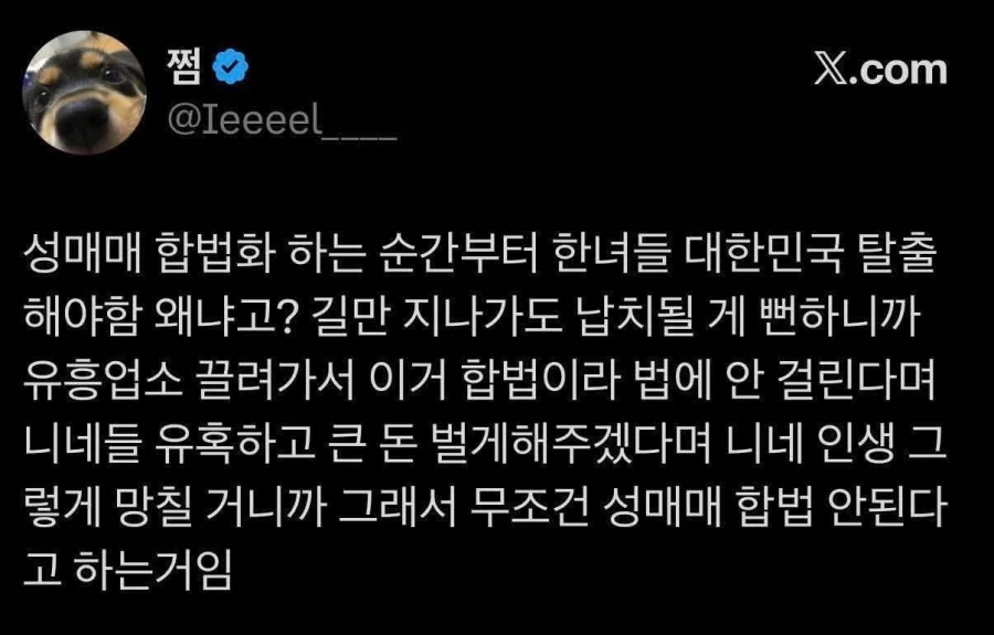 성매매 합법화 주장을 오해하는 트짹이.jpg_1.webp