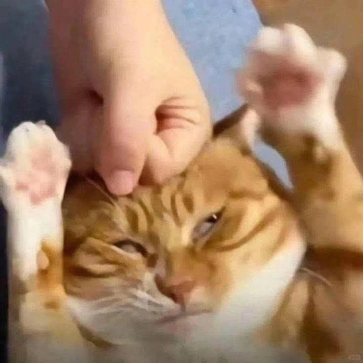 조용히 하세욧!_1.webp