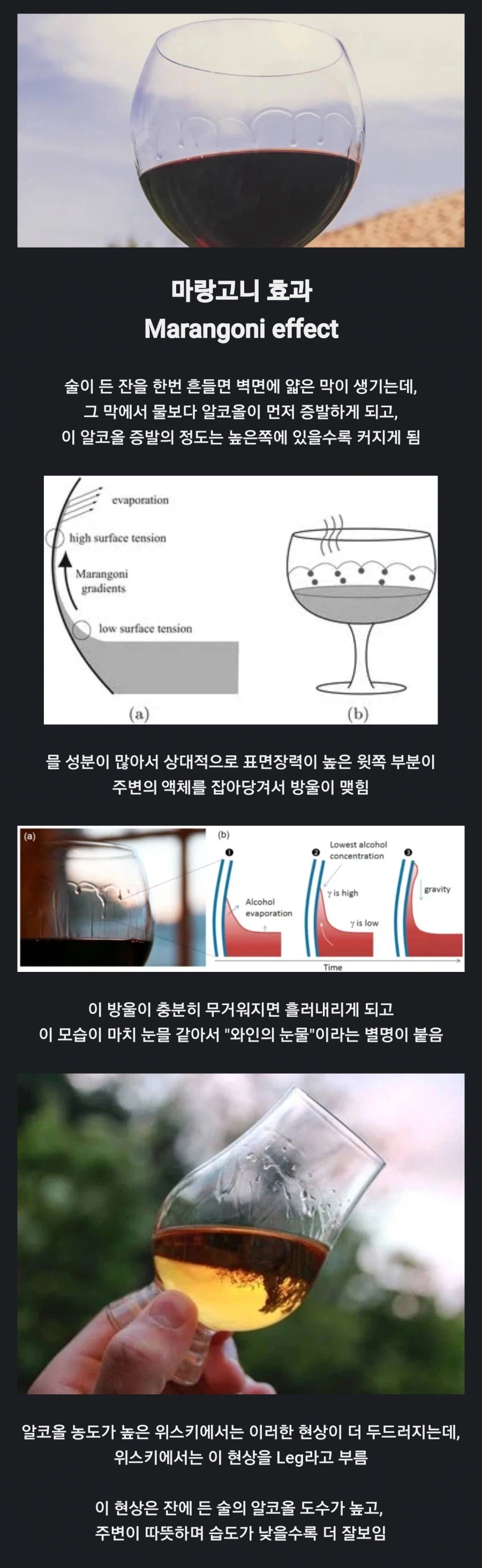 술을 잔에 넣고 흔들면 벌어지는 일_1.webp