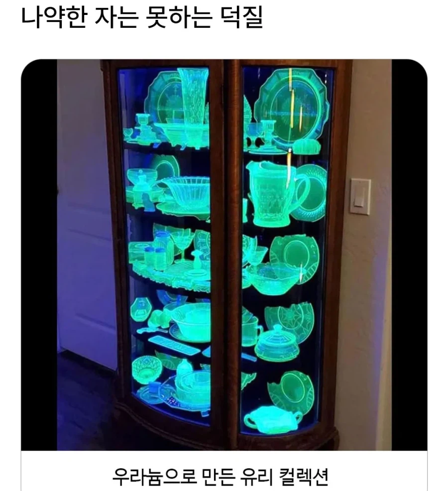 목숨을 건 덕질.jpg_1.webp