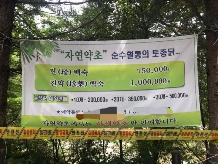 그냥 치킨 먹을란다..._1.webp