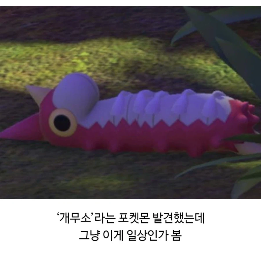 포켓몬의 일상_2.webp