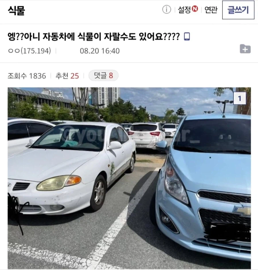 진짜배기 아반떼 풀옵션.jpg_1.webp