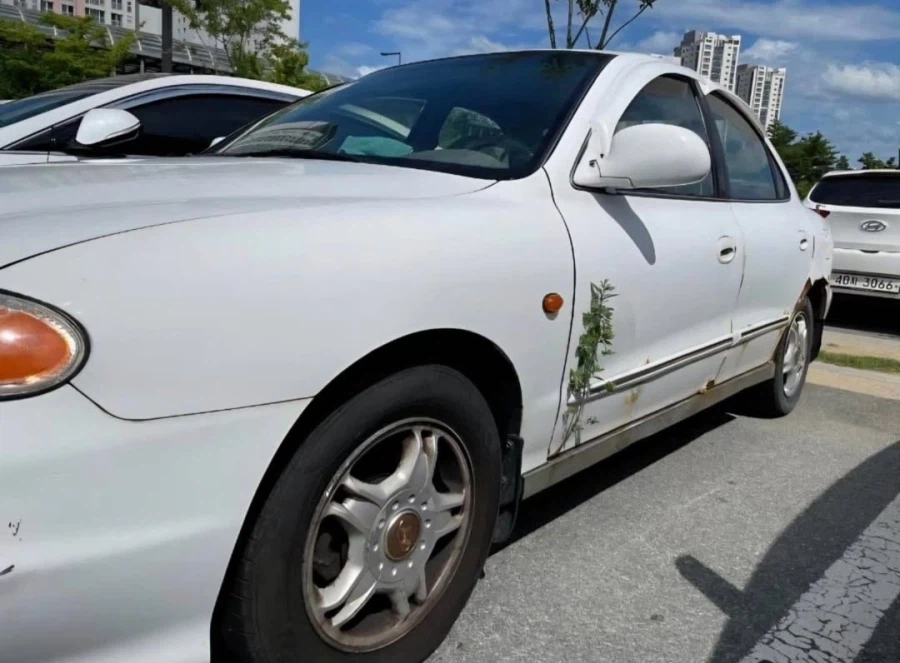 진짜배기 아반떼 풀옵션.jpg_2.webp