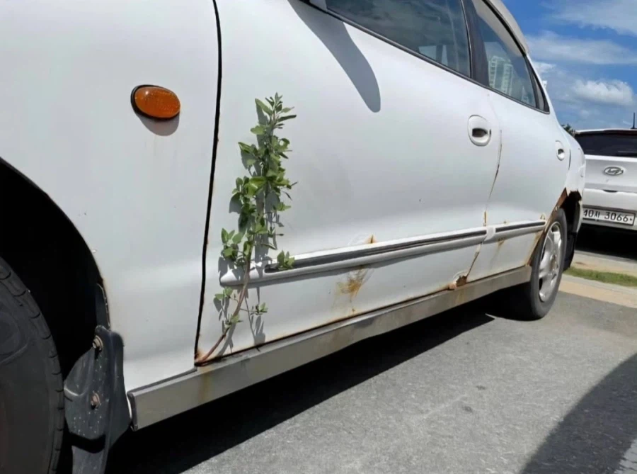 진짜배기 아반떼 풀옵션.jpg_3.webp