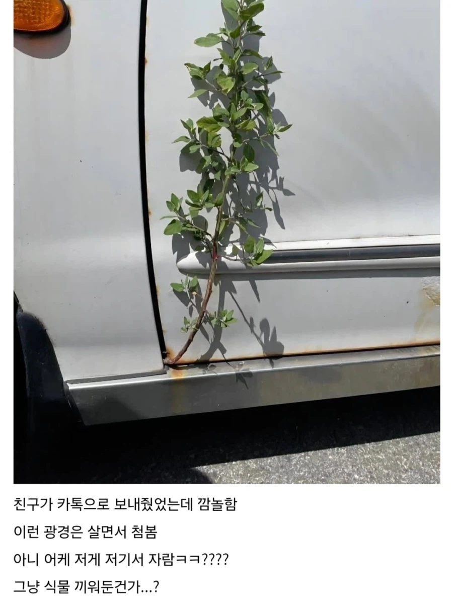 진짜배기 아반떼 풀옵션.jpg_4.webp