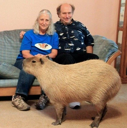 진지 하게 싸우면 의외로 강한 동물.JPG_1.webp