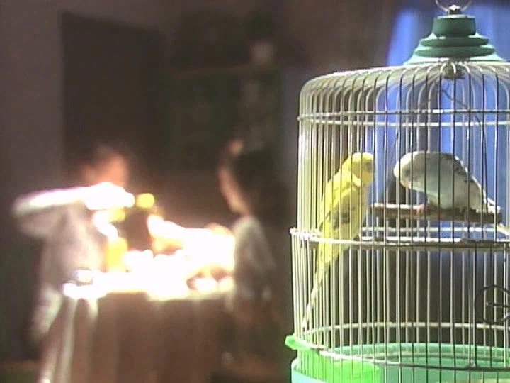 생각해보면 사람새퀴 하나 없는 김전일 에피소드_5.webp