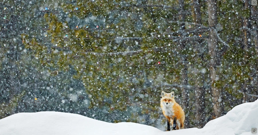 빙 이새끼들 바탕화면을 이런걸 주면 어뜨케_1.webp