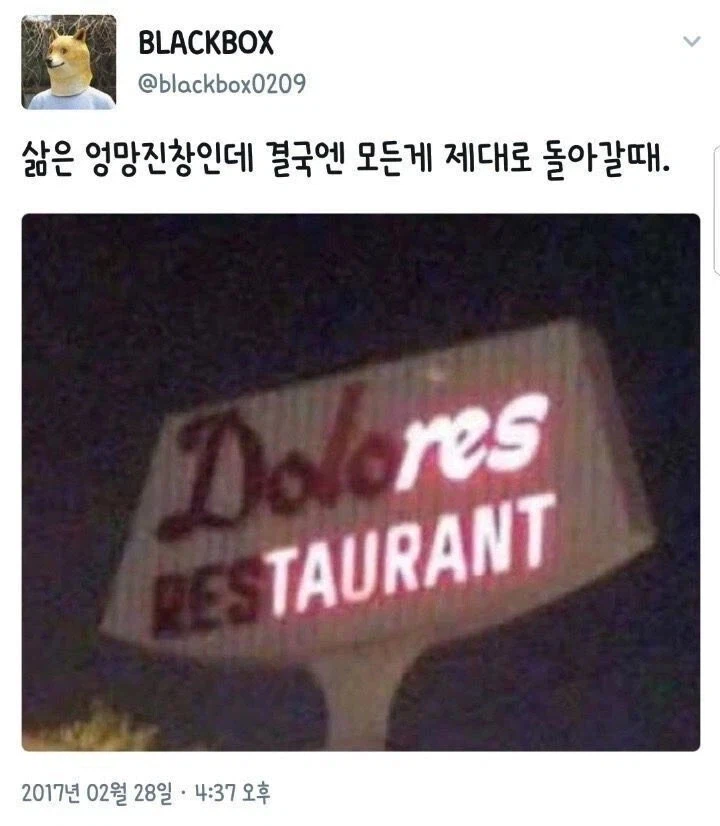 삶은 엉망진창인데 모든게 제대로 돌아갈때_1.webp