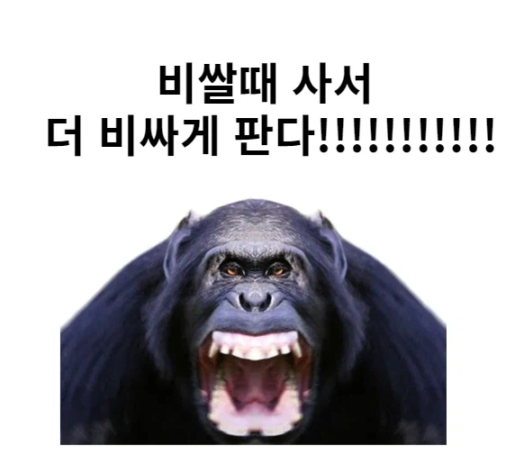 주식 고점에 물리는 사람들 마인드_1.webp