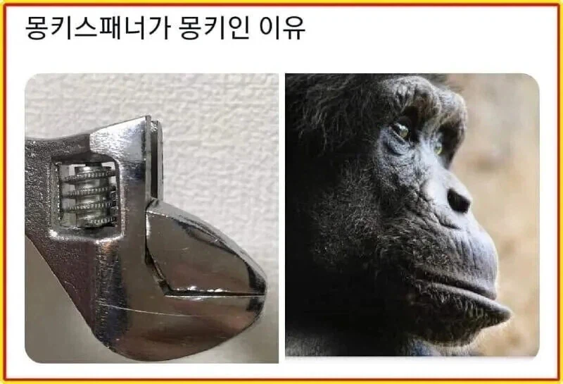 몽키스패너가 몽키인 이유_1.webp
