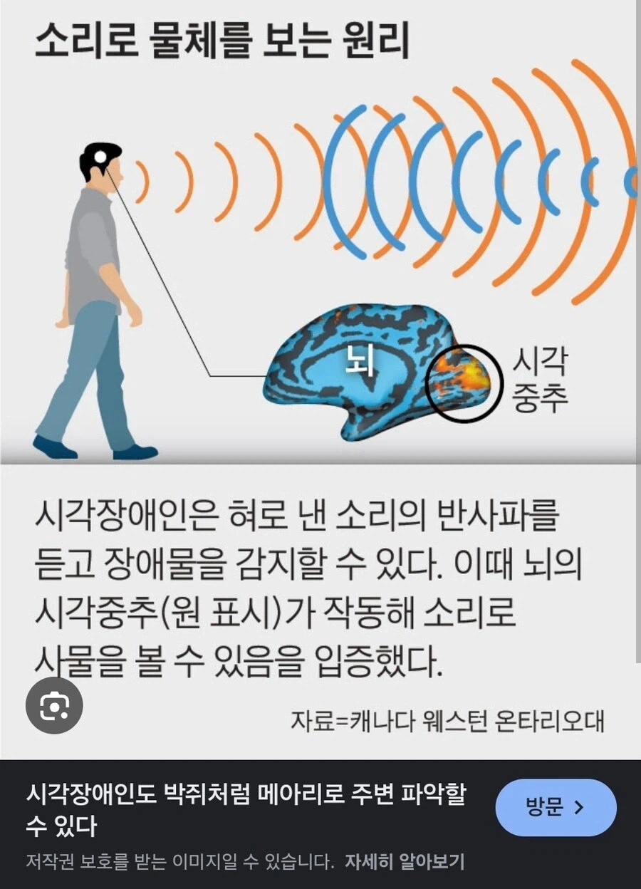 시각장애인이 훈련하면 쓸수있는 능력.jpg_1.webp