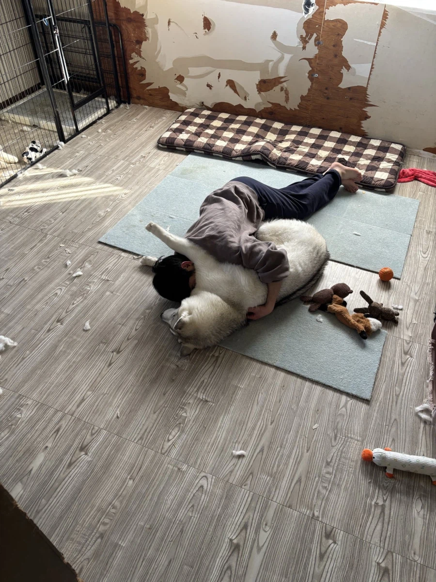 플란더스의 개를 본 직후의 애견인_1.webp