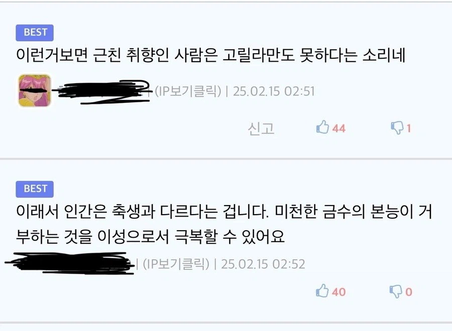 인간성에 대한 심도있는 논의를 나누는 디씨인_2.webp
