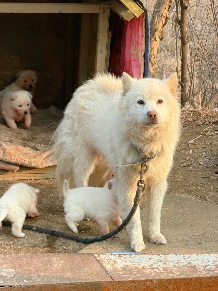 산책하다발견했다는 귀여운 가족.jpg_3.webp