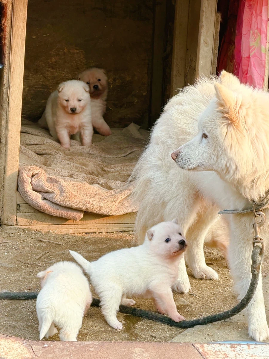 산책하다발견했다는 귀여운 가족.jpg_4.webp