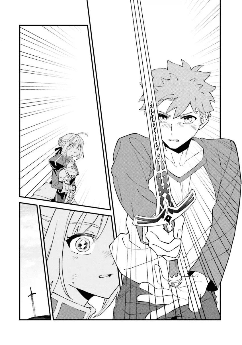 페이트) 타입문 공식작가가 그린 페이트 루트 요약_13.webp