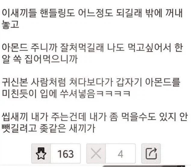 햄스터랑 진심으로 감정싸움 하는 사람_1.webp