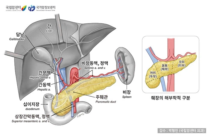 10년만에 생존기간이 2배 높였지만 그래도 ㅈ같은 병_1.webp