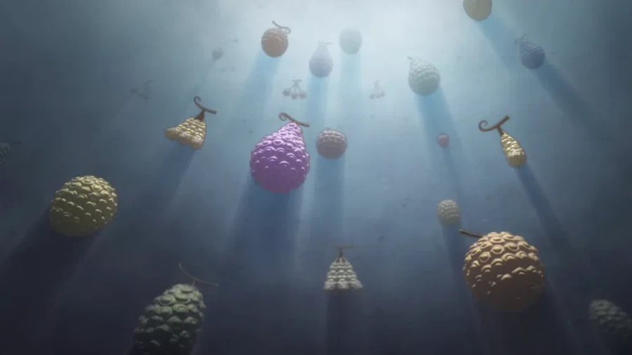 원피스 악마의 열매의 오랜 떡밥중 하나.jpg_1.webp