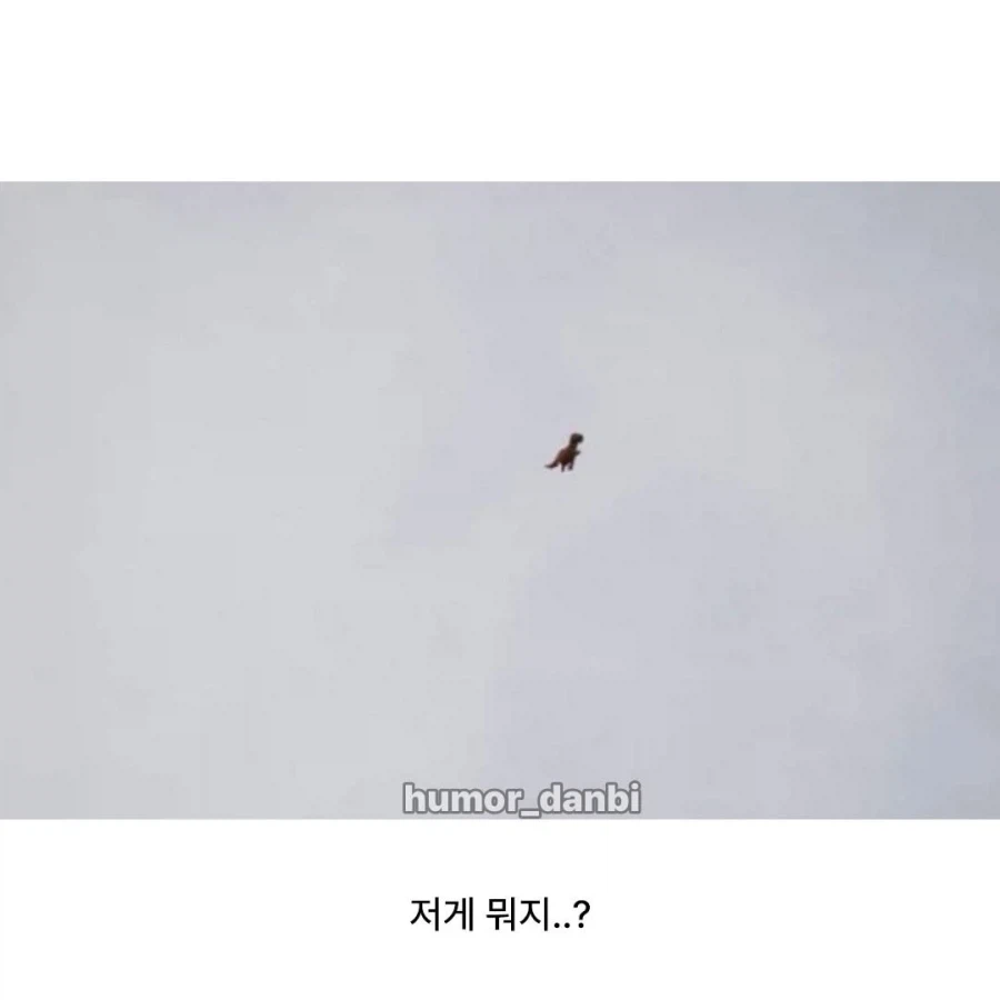 왜가리가 묘하게 하늘을 보는 이유_2.webp