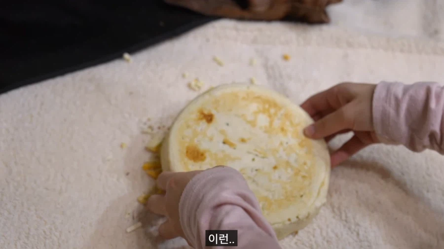 세상에서 인종, 나이, 성별, 직급을 막론하고 모두에게 제일 공평한 룰_8.webp