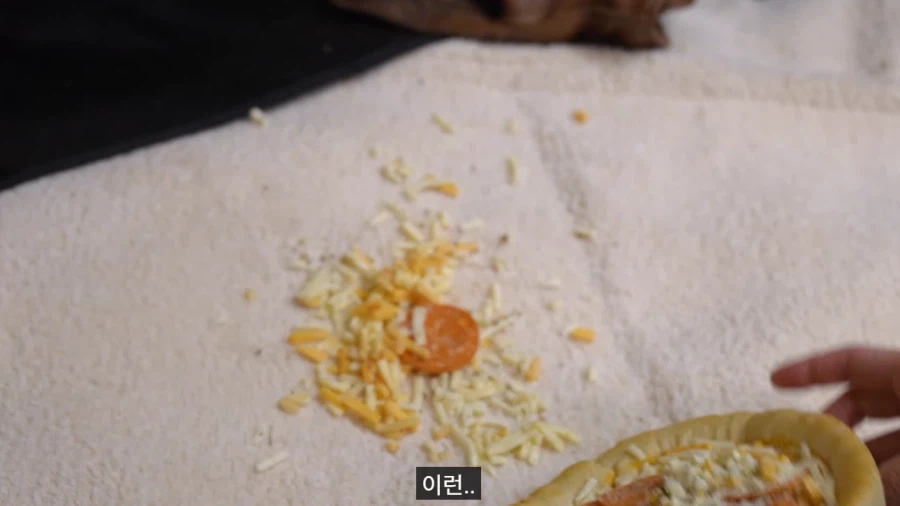 세상에서 인종, 나이, 성별, 직급을 막론하고 모두에게 제일 공평한 룰_9.webp