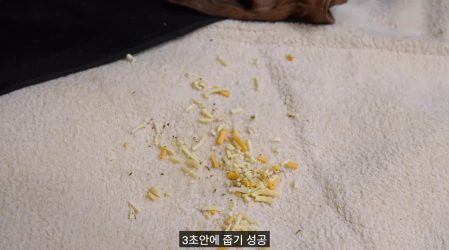 세상에서 인종, 나이, 성별, 직급을 막론하고 모두에게 제일 공평한 룰_10.webp