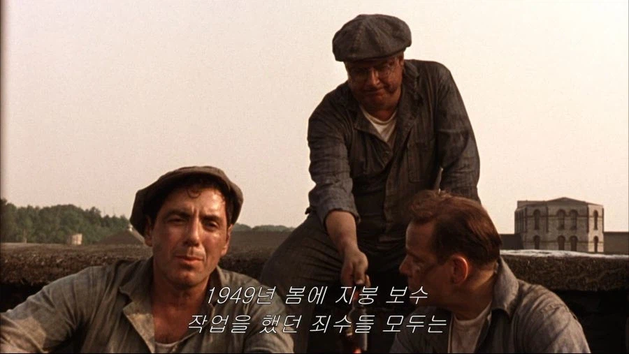 영화 채널들이 설치한 포획률 100% 통발.jpg_1.webp