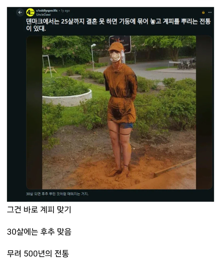 덴마크에서 25살까지 결혼 못 하면 당하게 되는 일_1.webp