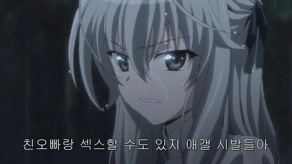 노르웨이 숲고양이 처럼 자연발생하는 방법_1.webp