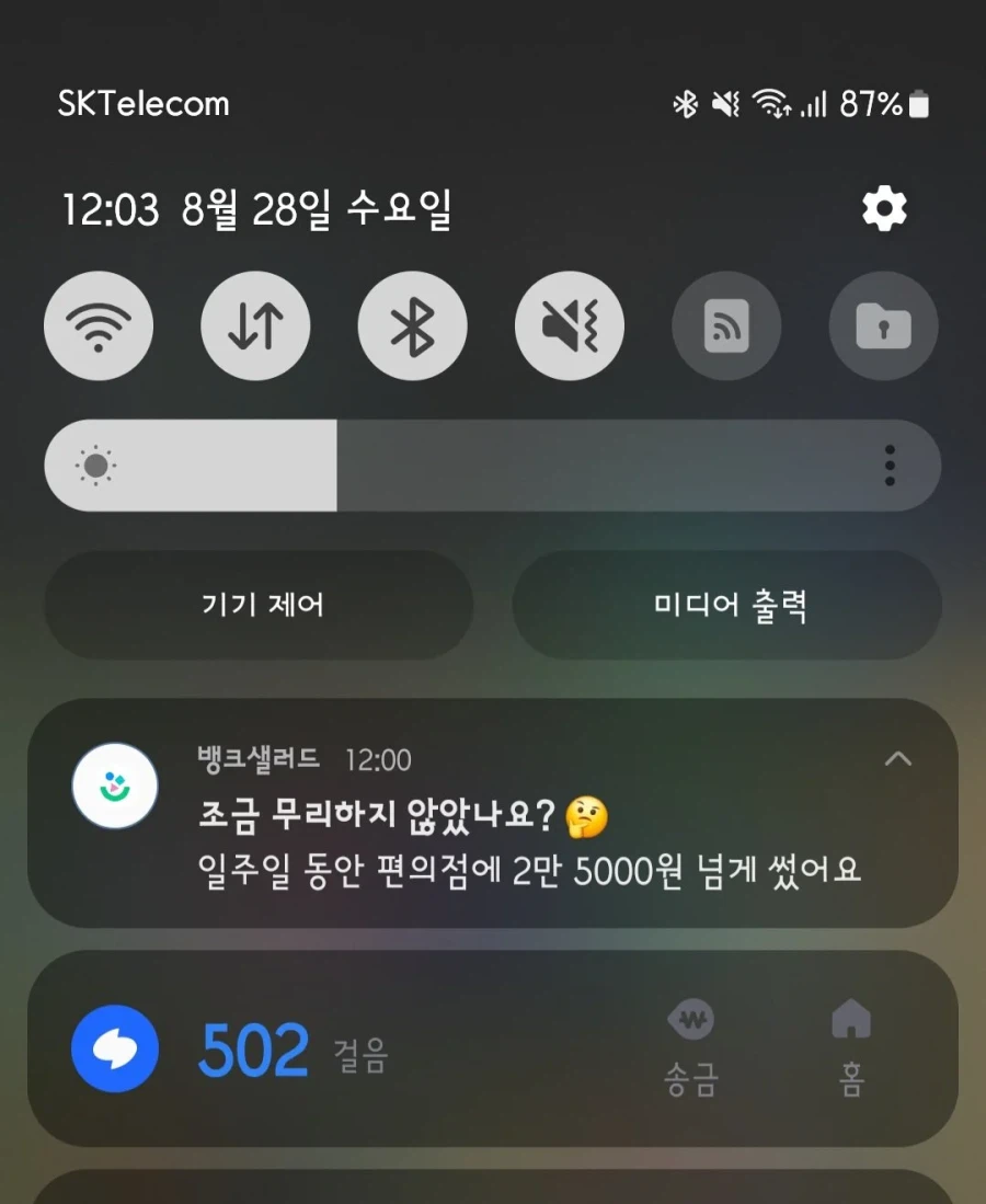 조금 무리한게 아니냐며 걱정해주는 어플_1.webp