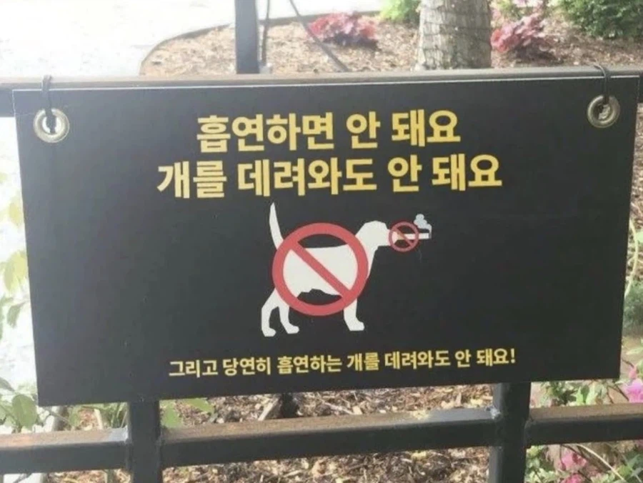 의외로 산책길에 들여올 수 없는 것_1.webp